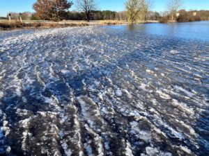 vereiste Fläche an der Serengeti-Park-Straße NO