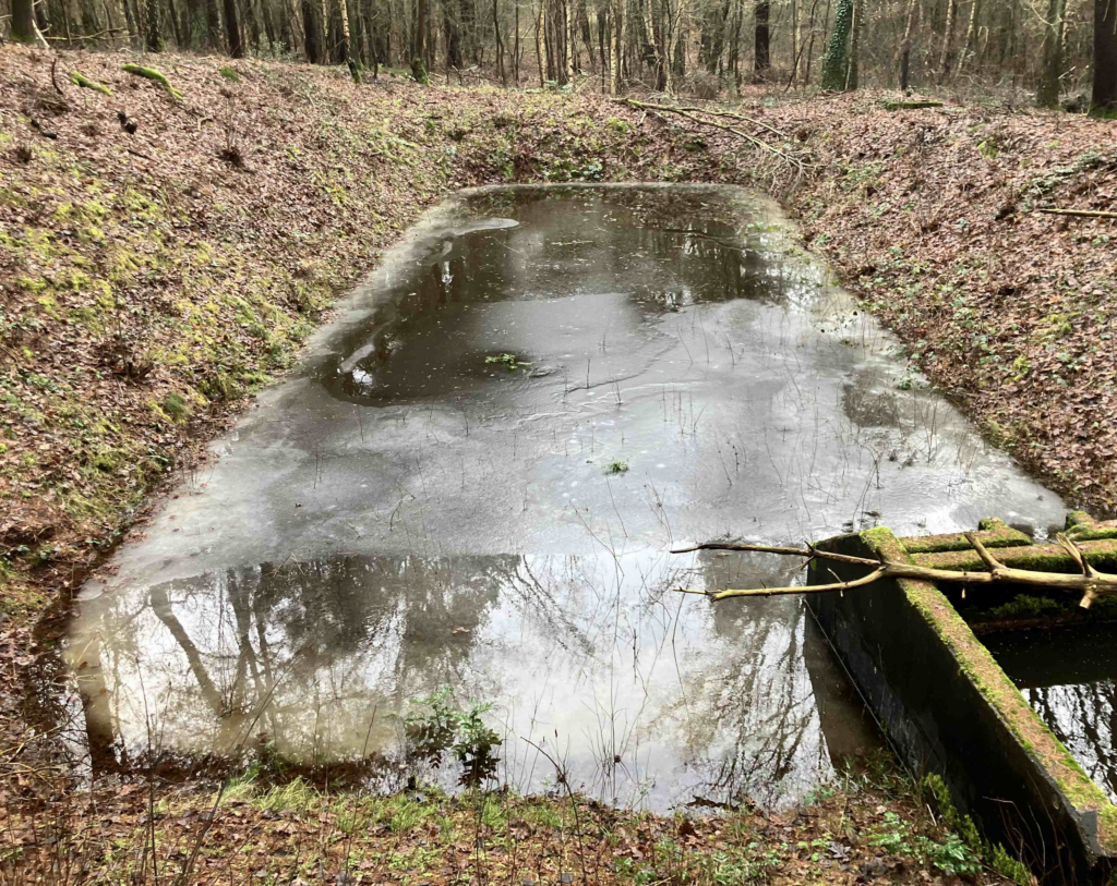 Grundwasser, erstmals seit 50 Jahren