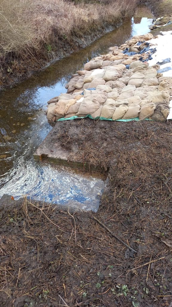 "Pflaster" am Süddeich Höhe Schöpfwerk