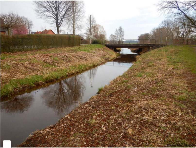 Auf dem Weg in die Aller durchfließt der Wiedenhausener Bach Hodenhagen